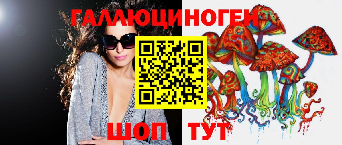 Гагарин  Псилоцибиновые грибы Psilocybine cubensis  Вход с VPN 